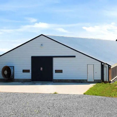 Quality  Multifunctional Steel Frame Chicken Coop Lightweight Steel Frame Building Mould Proof factory