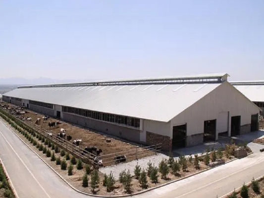Quality  Ventilation Steel Structure Cow Shed , Durable Steel Livestock Shelter For Dairy Farm factory
