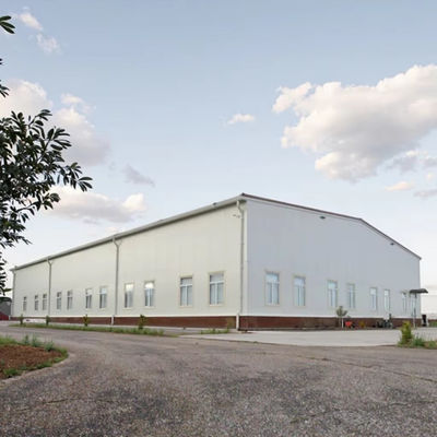 H Section Industrial Metal Frame Storage Buildings Earthquake Proof Weather Resistant
