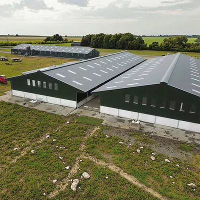 Earthquake Proof Q345 Steel Structure Building Prefab Steel Farm Building For Livestock