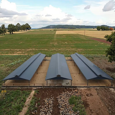 Earthquake Proof Q345 Steel Structure Building Prefab Steel Farm Building For Livestock