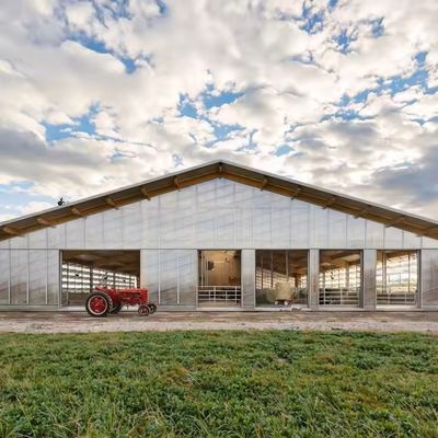Modern Design Prefab Dairy Cow Shed Galvanized Steel Structure Farm Easy Installation