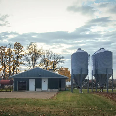 Q235 Q345 Steel Structure Chicken House Farm Poultry Shed Construction Customized Size