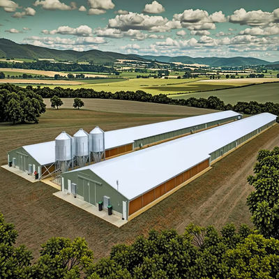 Q235 Q345 Steel Structure Chicken House Farm Poultry Shed Construction Customized Size