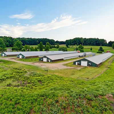 Q235 Q345 Steel Structure Chicken House Farm Poultry Shed Construction Customized Size