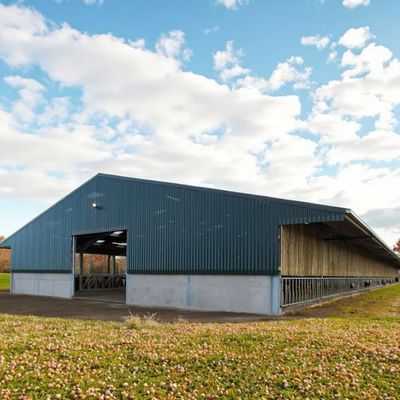 Wind Resistant Steel Structure Building Cow Shed Cattle Farm Construction OEM Size