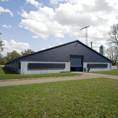 Custom Size Prefabricated Steel Structure Poultry Farm Building Shed JIS GB Standard