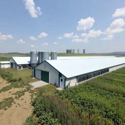 Steel Frame Educational School Building Structure 20m x 50m x 9m Multi Classroom Construction