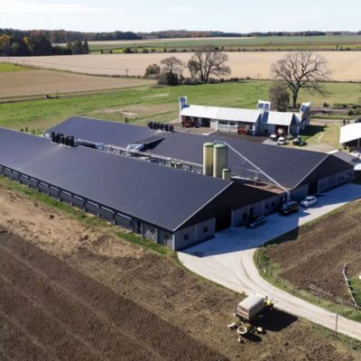 Custom Size Prefabricated Steel Structure Poultry Farm Building Shed JIS GB Standard