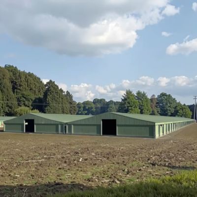 Steel Frame Logistics Distribution Center Building 50m x 150m x 13m Multi Bay Dock Construction