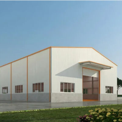 Custom Prefab Steel Structure Building Metal Storage Buildings 1000kg-6000kg Loading
