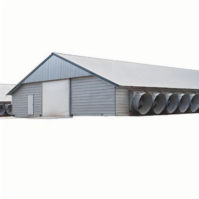 Quick Build Light Steel Structure Shed Broiler Poultry House 6m 10m 12m Length