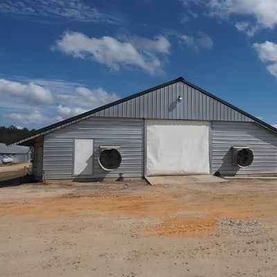 Quick Build Light Steel Structure Shed Broiler Poultry House 6m 10m 12m Length