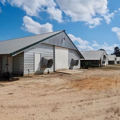 Quick Build Light Steel Structure Shed Broiler Poultry House 6m 10m 12m Length