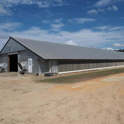 Quick Build Light Steel Structure Shed Broiler Poultry House 6m 10m 12m Length