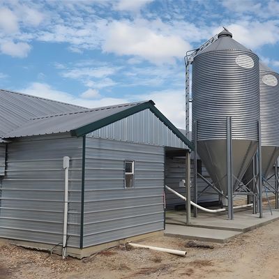 Quick Build Light Steel Structure Shed Broiler Poultry House 6m 10m 12m Length