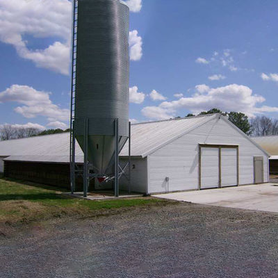 Fully Customizable Chicken House Construction Steel Frame Farm Building ISO Standard