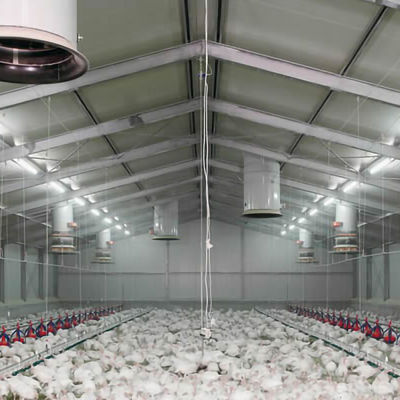 Fully Customizable Chicken House Construction Steel Frame Farm Building ISO Standard