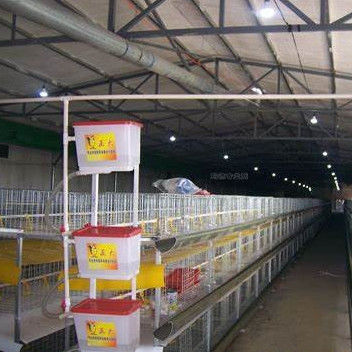 Quick Assembly Steel Structure Poultry House Weather Resistant Metal Poultry Shed