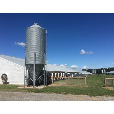Modern Q355B Grade Metal Frame Building Poultry Farm Structure Long Life Span
