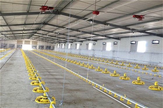 Modern Q355B Grade Metal Frame Building Poultry Farm Structure Long Life Span
