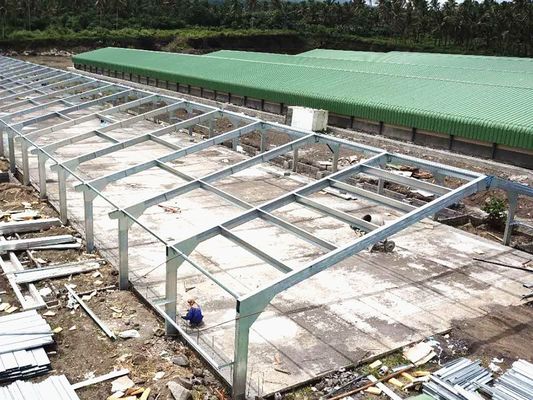 Modern Q355B Grade Metal Frame Building Poultry Farm Structure Long Life Span