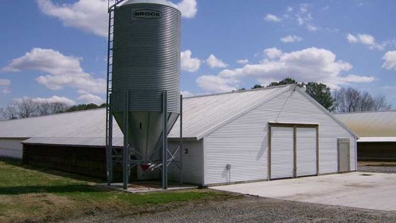 Modern Q355B Grade Metal Frame Building Poultry Farm Structure Long Life Span