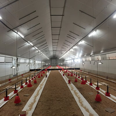 Solid H Shape Beam Poultry Farm Structure Lightweight Steel Frame House Anti Wind