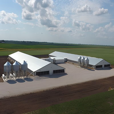 Solid H Shape Beam Poultry Farm Structure Lightweight Steel Frame House Anti Wind