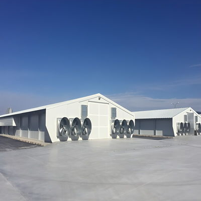 Solid H Shape Beam Poultry Farm Structure Lightweight Steel Frame House Anti Wind