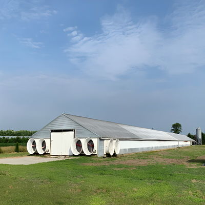 Solid H Shape Beam Poultry Farm Structure Lightweight Steel Frame House Anti Wind
