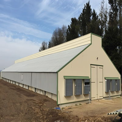 Solid H Shape Beam Poultry Farm Structure Lightweight Steel Frame House Anti Wind