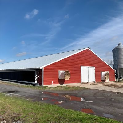 Easy Install Steel Structure Poultry House Painting Galvanized Surface Chicken Farm Building
