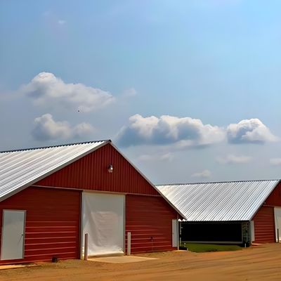 Easy Install Steel Structure Poultry House Painting Galvanized Surface Chicken Farm Building