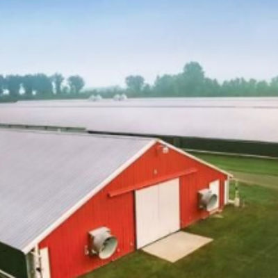 Customized Modern Steel Structure Poultry House With Sliding Door And Aluminum Window