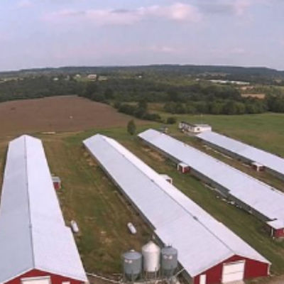 Customized Modern Steel Structure Poultry House With Sliding Door And Aluminum Window