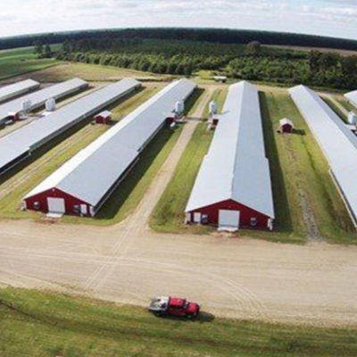 Customized Modern Steel Structure Poultry House With Sliding Door And Aluminum Window
