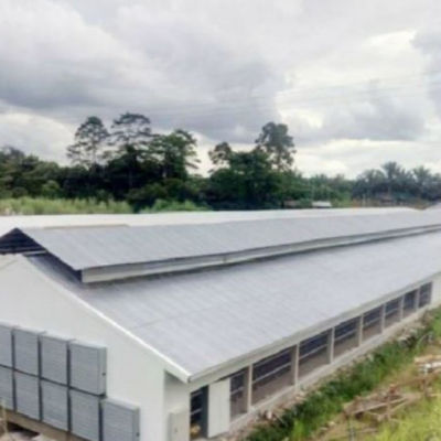Multifunctional Steel Frame Chicken Coop Lightweight Steel Frame Building Mould Proof