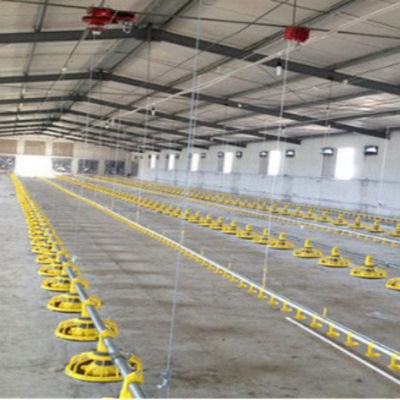 Multifunctional Steel Frame Chicken Coop Lightweight Steel Frame Building Mould Proof