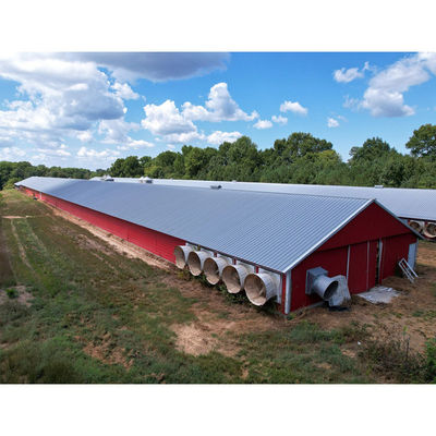 Q235B Q355B Grade Steel Structure Poultry House Pre engineered Steel Frame Shed