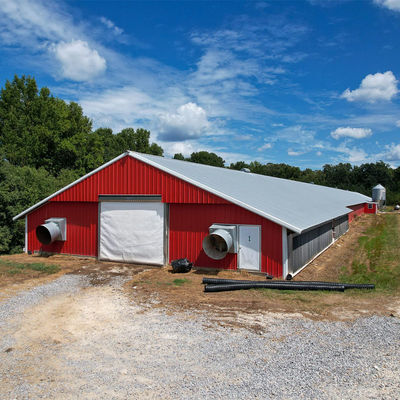 Q235B Q355B Grade Steel Structure Poultry House Pre engineered Steel Frame Shed
