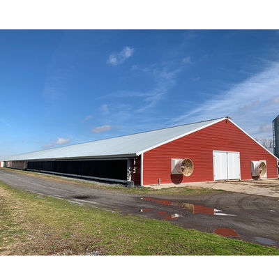 Q235B Q355B Grade Steel Structure Poultry House Pre engineered Steel Frame Shed