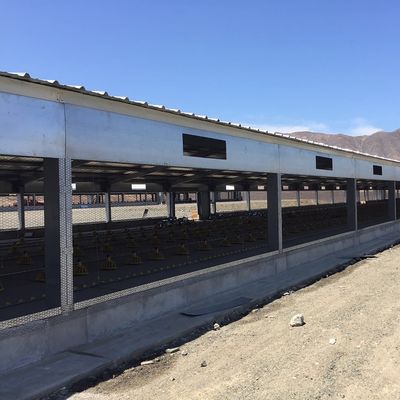 Q235B Q355B Grade Steel Structure Poultry House Pre engineered Steel Frame Shed