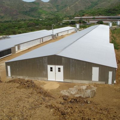 Q235B Q355B Grade Steel Structure Poultry House Pre engineered Steel Frame Shed