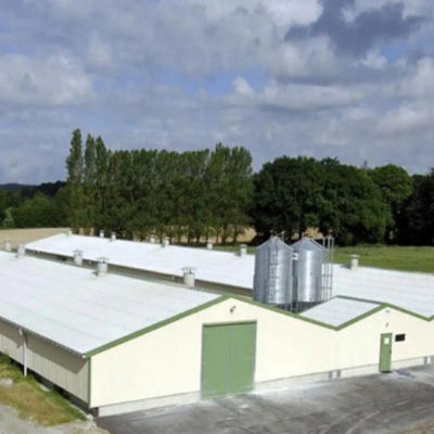 Robust Framework Prefab Steel Poultry House Construction Q235 Q345 Farm Steel Structures