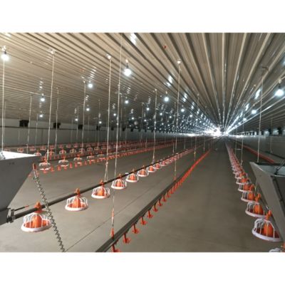 Robust Framework Prefab Steel Poultry House Construction Q235 Q345 Farm Steel Structures