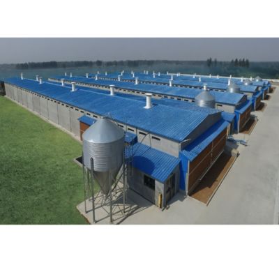 Robust Framework Prefab Steel Poultry House Construction Q235 Q345 Farm Steel Structures