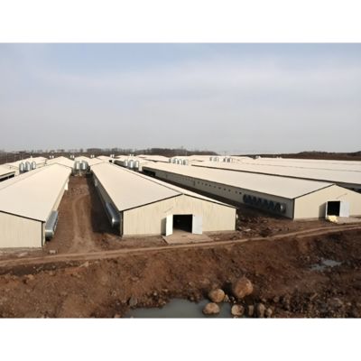 Robust Framework Prefab Steel Poultry House Construction Q235 Q345 Farm Steel Structures