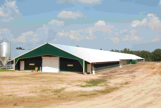 Prefab Automatic Steel Structure Chicken House / Chicken Coop Steel Frame House