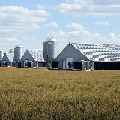 Bolt Connection Steel Structure Poultry House Weather Resistant ISO 9001 CE